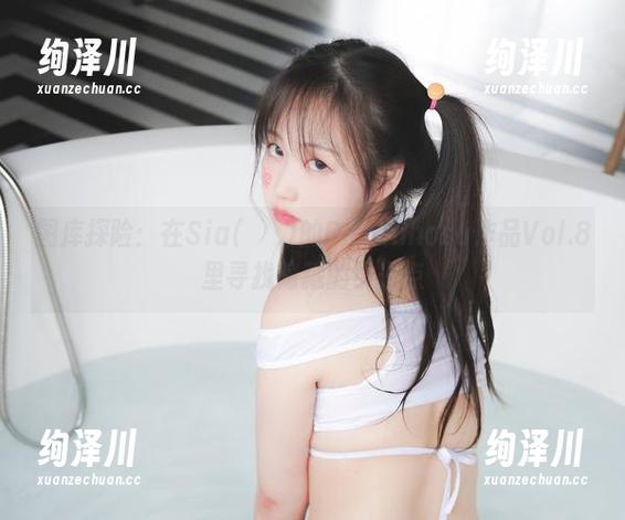 图库探险：在Sia(시아)的Paranhosu作品Vol.8里寻找隐藏的小光点