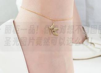 丽柜 – 丽柜一品！你绝对想不到图图和无圣光图片竟然可以这么嗨！